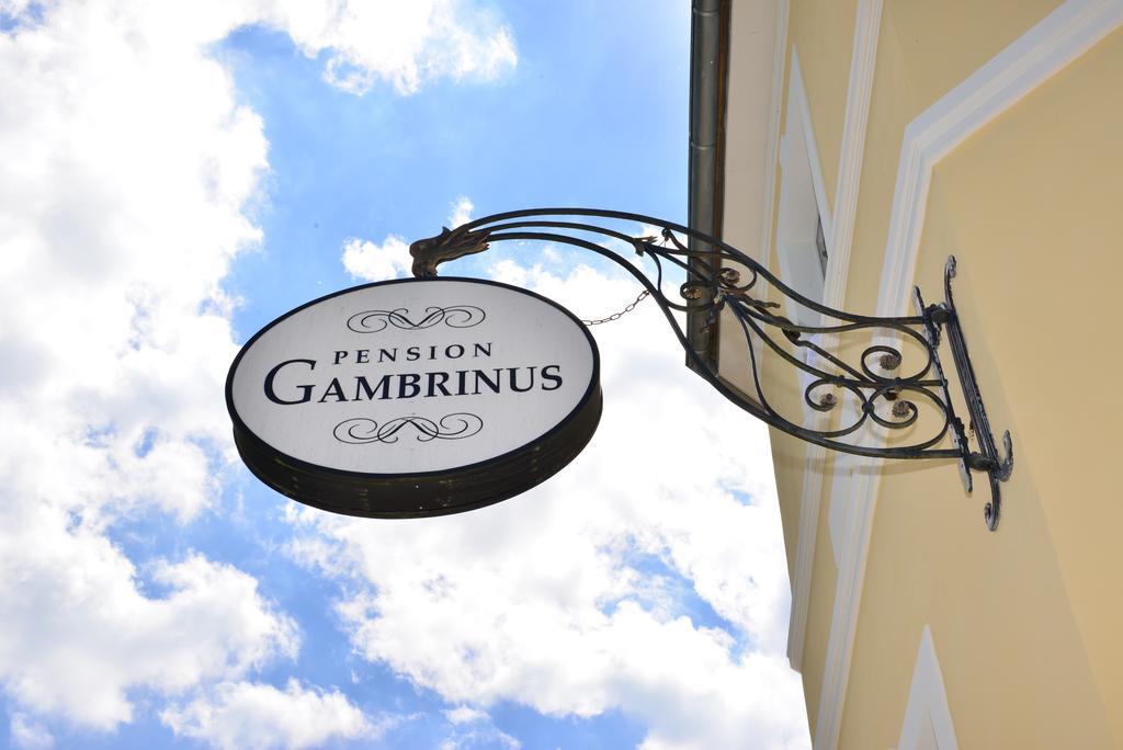 Pension Gambrinus Пассау Экстерьер фото